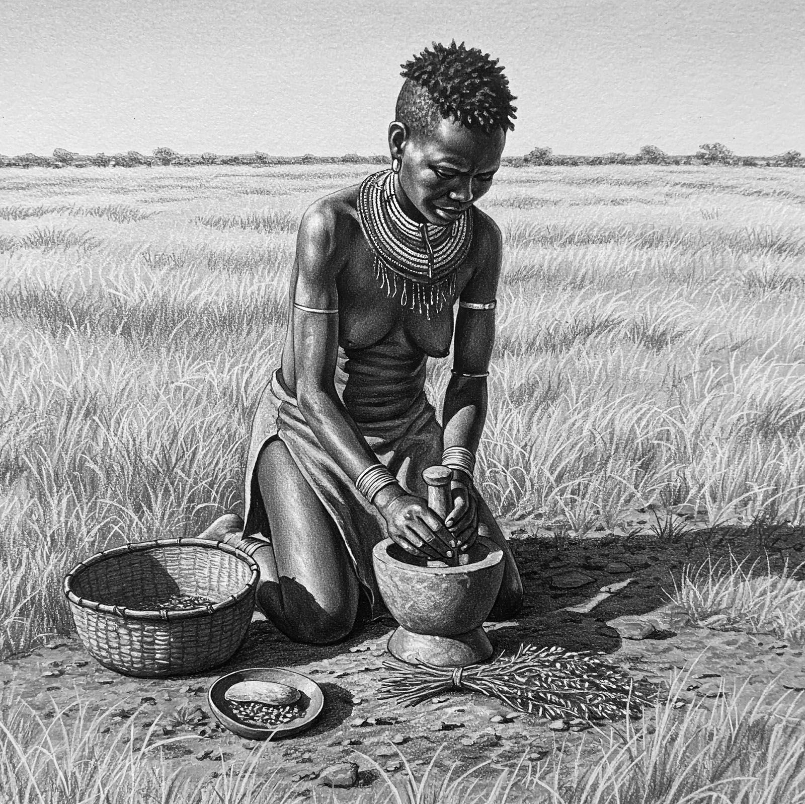 Illustrasie van 'n Khoisan-vrou wat kruie maal wat gebruik word in labia-strekking.