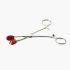 Adjustable forceps that can be used for labia stretching